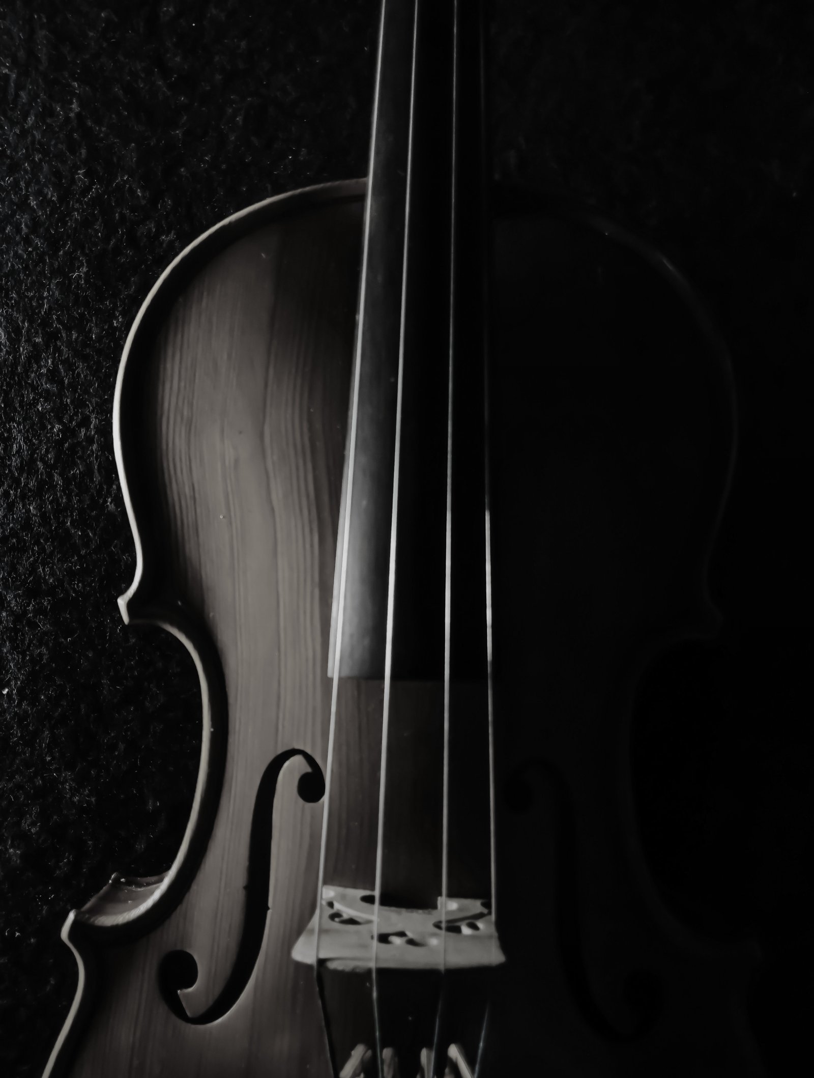 events-sonder-tango-violin-bg