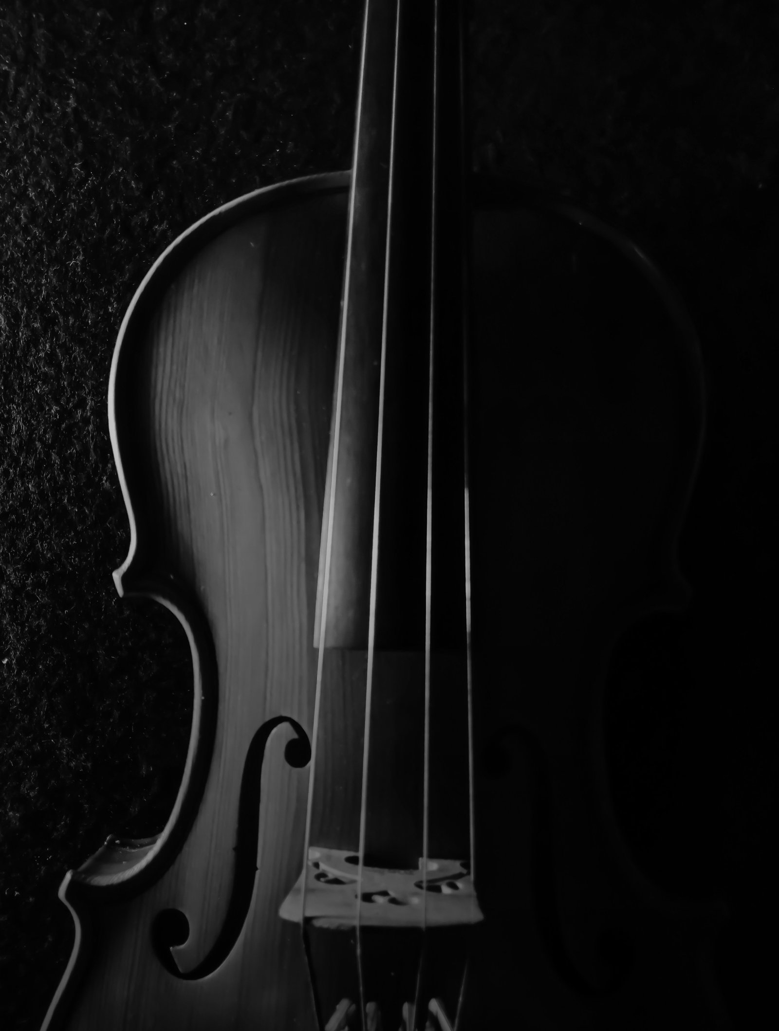 events-sonder-tango-violin